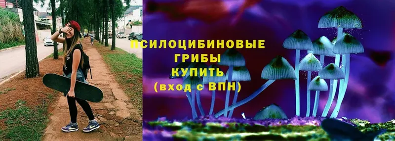 ссылка на мегу ССЫЛКА  Глазов  Псилоцибиновые грибы Psilocybe 